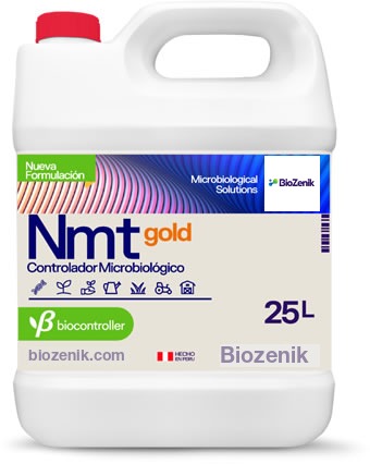 Nmt (gold)