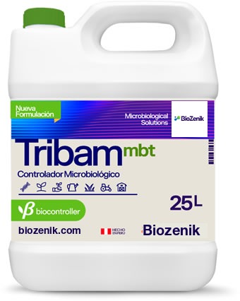 Tribam (mbt)