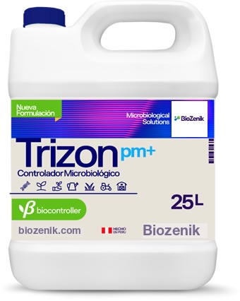 Trizon (pm+)